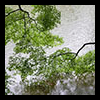 pond rain